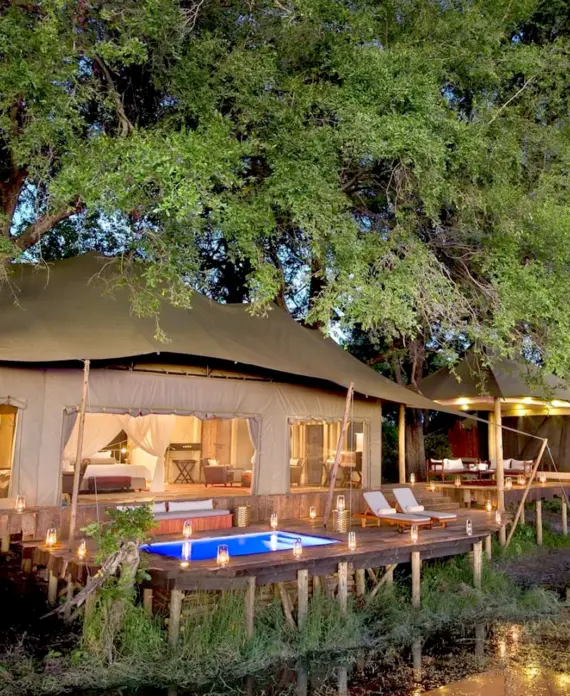 Luxury tented suite at Duba Plains in Botswana, featuring a private plunge pool surrounded by candle-lit decking and lush forest.