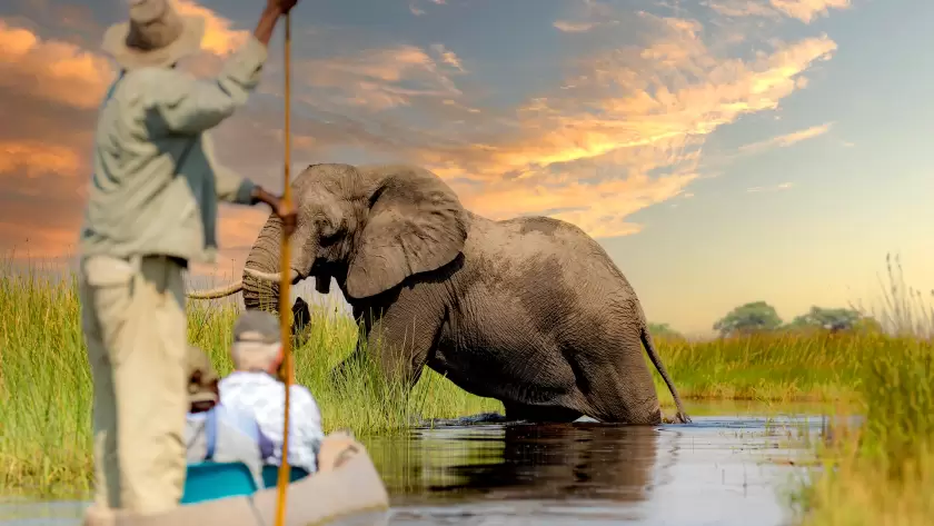 Elephant wading through the Okavango Delta at sunset, with a traditional mokoro canoe guided by a local, showcasing Botswana’s unique blend of delta and desert landscapes.