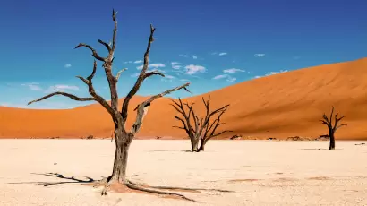 Breathtaking view of the Deadvlei clay pan in Namibia’s Namib-Naukluft National Park near Sossusvlei with ancient camelthorn trees, red sand dunes, and deep blue sky.