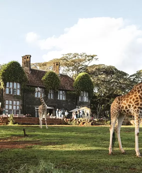 Giraffe Manor in Kenya, a historic boutique hotel where guests can interact with endangered Rothschild giraffes that freely roam the grounds.