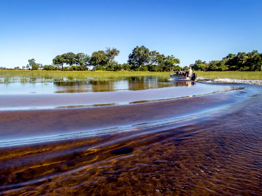 Okavango Delta safari 2025 in Kalahari Desert, Botswana, Africa.