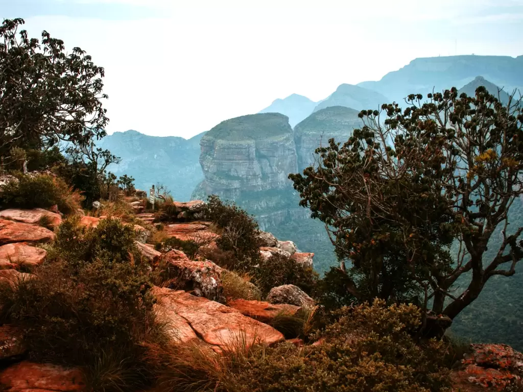 Breathtaking view of God’s Window with cliffs in a foggy weather in South Africa 2025 / 2026.