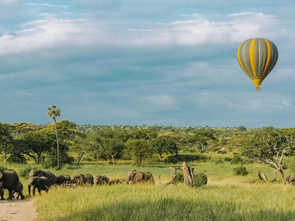 Hot air balloon safari in Tanzania’s Serengeti National Park floating over herds of elephants.
