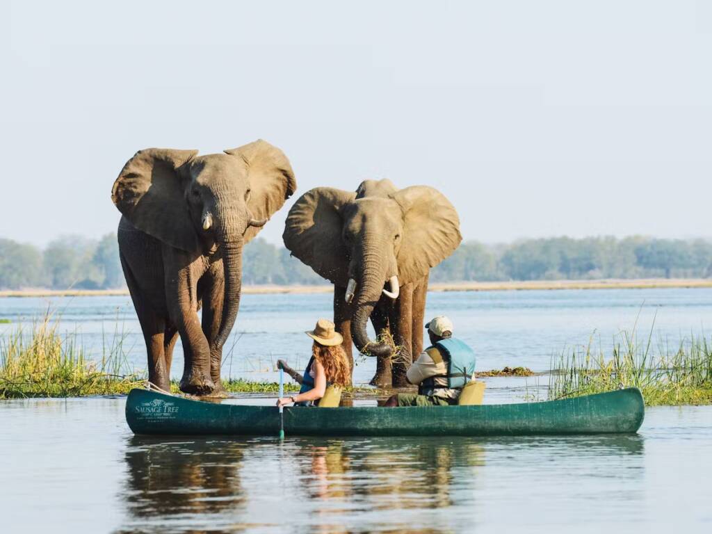 A serene mokoro ride with elephants spotting in Botswana’s Okavango Delta safari 2025 – 2026. 