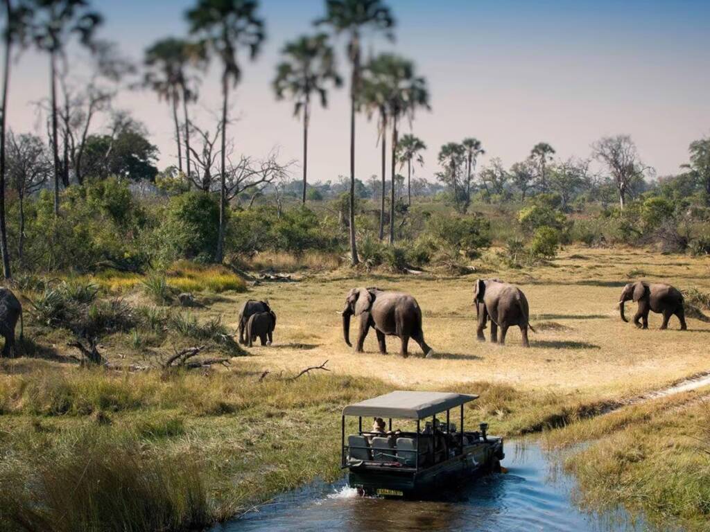 A safari vehicle observing elephants grazing in Chobe National Park during Botswana safari 2025/2026. 