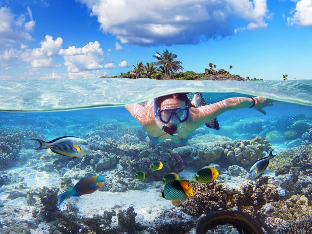 Person snorkeling in the crystal-clear waters of Zanzibar, surrounded by vibrant coral reefs and colorful fish.