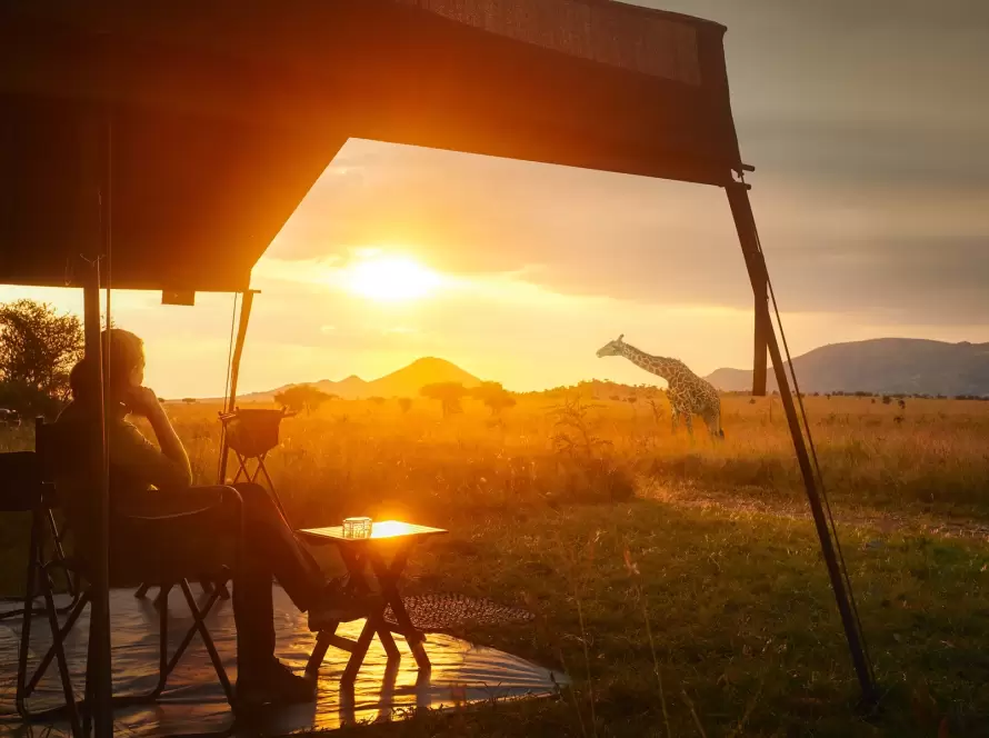 Tanzania Under Canvas: An 8-Day Luxury Safari Journey