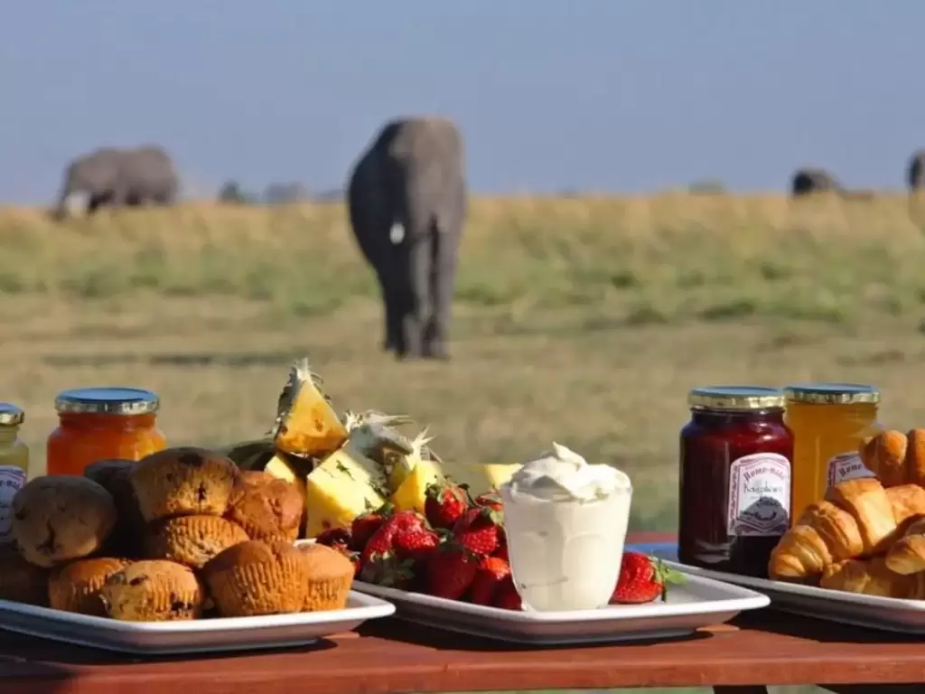   Sundowner with elephant views on a luxury African safari in Tanzania, designed by trusted travel experts. The Real Luxury of a Well-Planned Safari