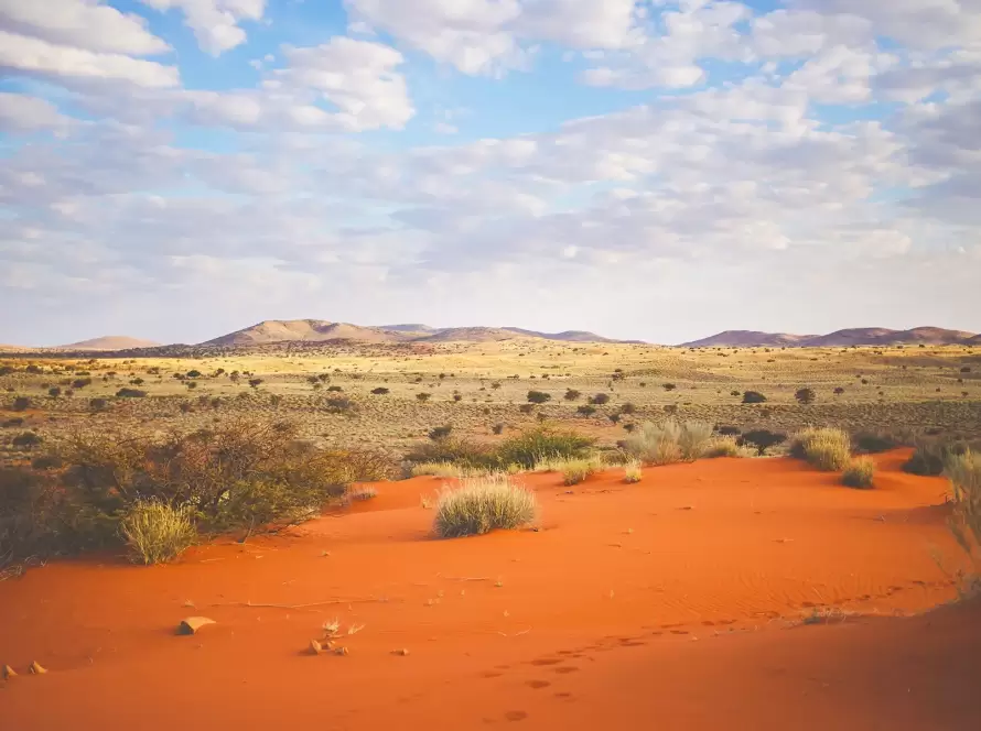 Wonders of South Africa: Deserts, Beaches & Big Five