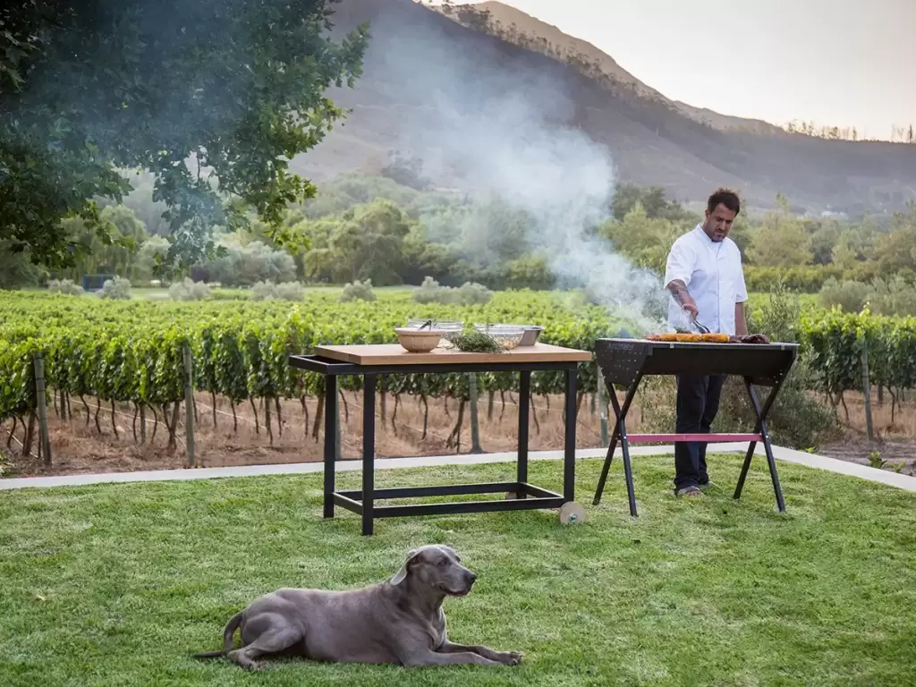 Chef grilling popular Cape Town dishes with vineyard views, capturing the farm-to-table culinary experience in South Africa.