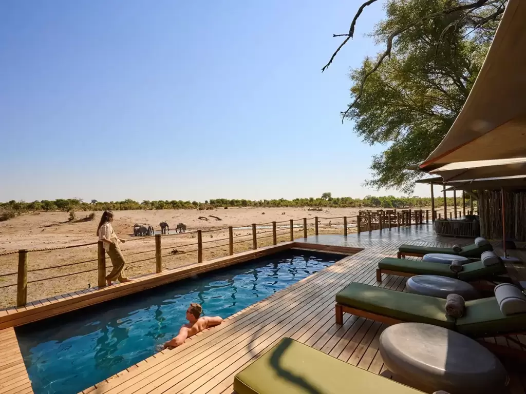 A couple on a honeymoon safari in Africa, watching elephants from their private swimming pool.