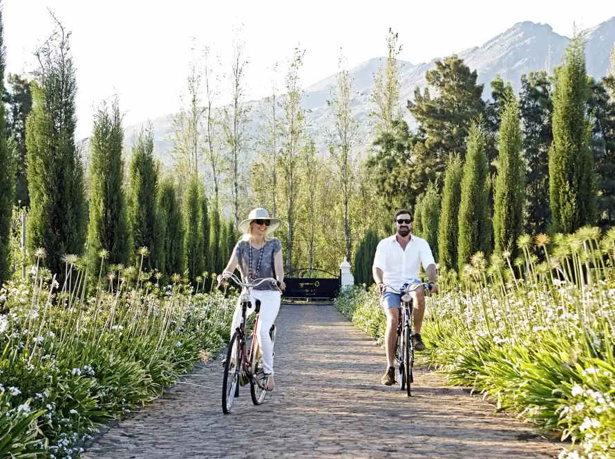 A couple cycling through a vineyard garden framed by cypress trees and mountain views in the Cape Winelands.