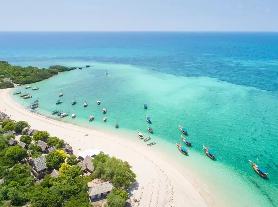 Tanzania with Zanzibar: Great Migration Safari & Beach Escape