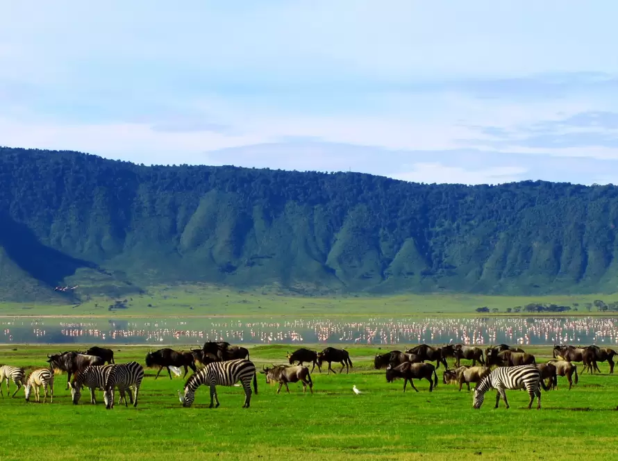 Tanzania in Ten Days: A Luxury African Safari by Air