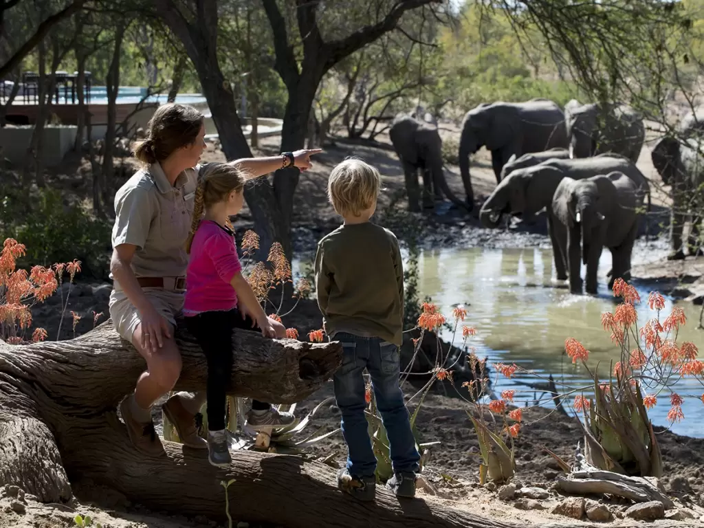 Ranger and kids watch elephants, showcasing a safe African safari experience for kids.