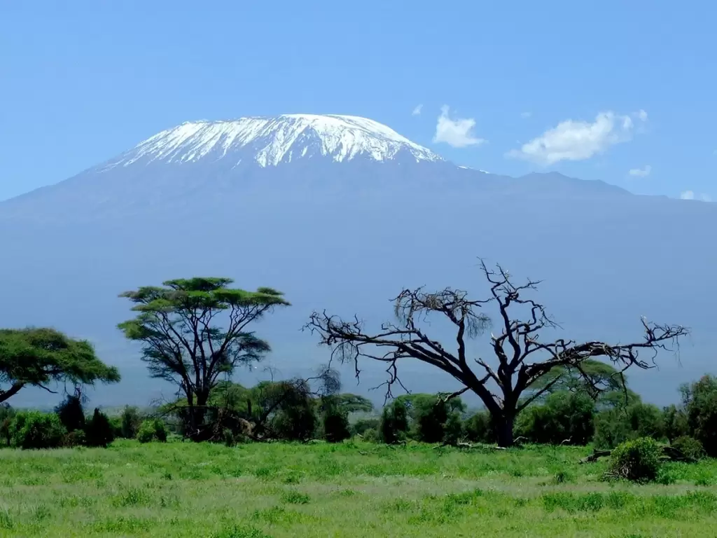 Snow-capped Mount Kilimanjaro is under a clear sky and can be seen across acacia trees from Africa’s green plains.