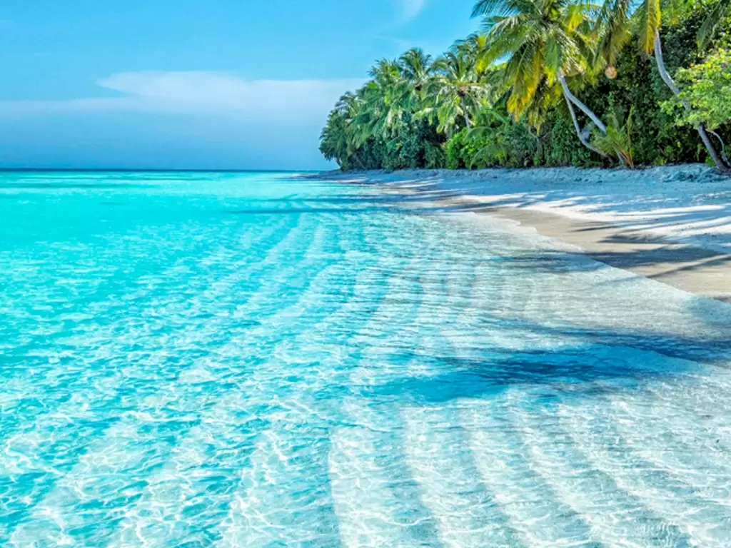 Turquoise clear waters and white sandy beach of Zanzibar fringed by green palm trees under the blue sky.  