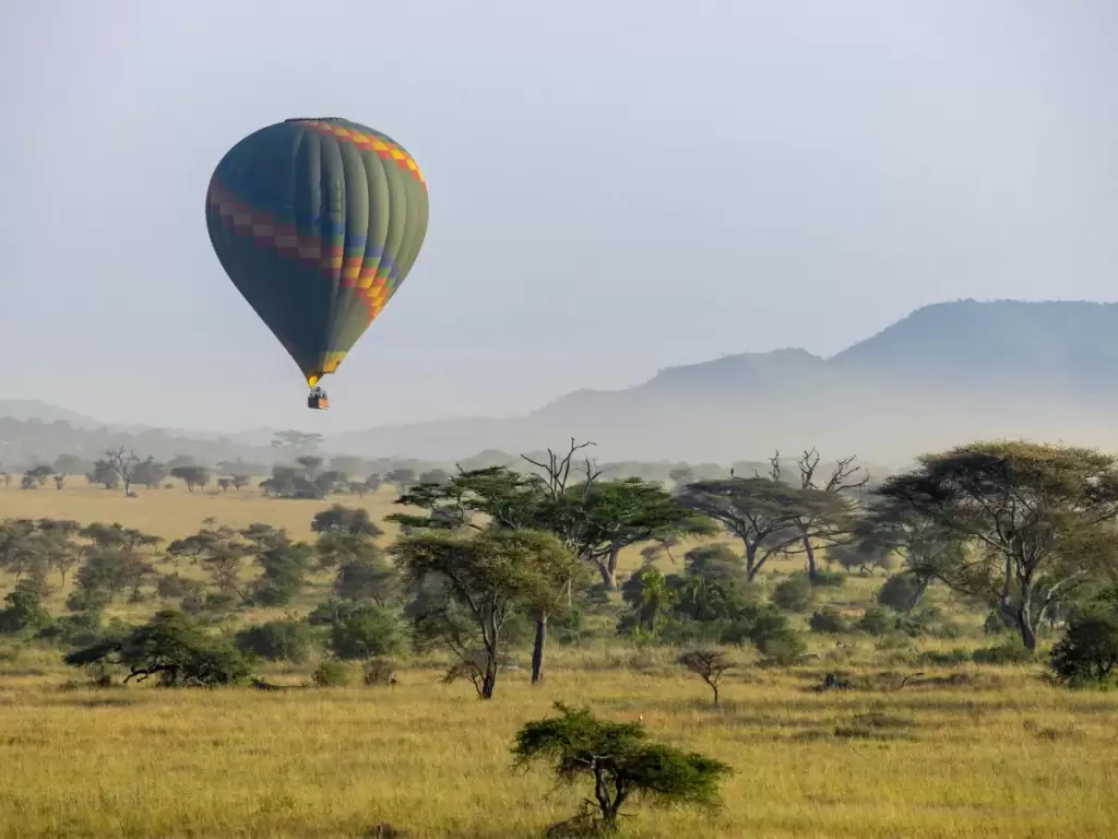 Hot air balloon safari floating in the sky over Serengeti’s savannah with green acacia trees and a view of distant mountains.  