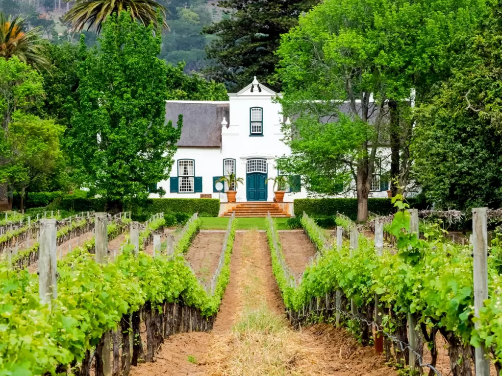 Cape Dutch Manor House and Vineyard estate in Constantia Valley, with lush greenery, South African wine tour.