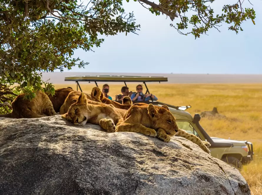 Northern Quest: African Safari Across Tanzania’s Wildest Frontiers