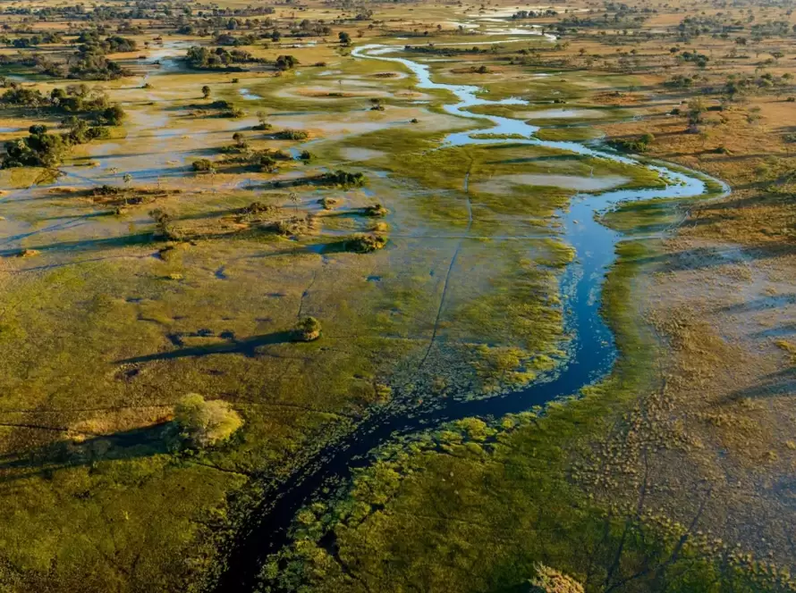 Magical Botswana Safari with South Africa