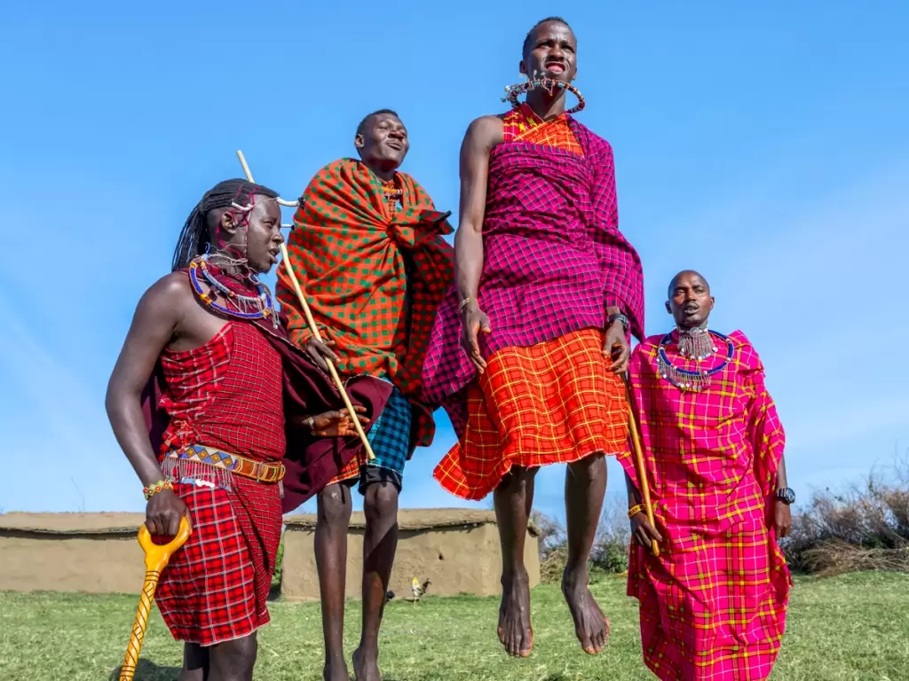 Maasai warriors from Kenya and Tanzania, performing their traditional jumping dance – a famous tribe of Africa.