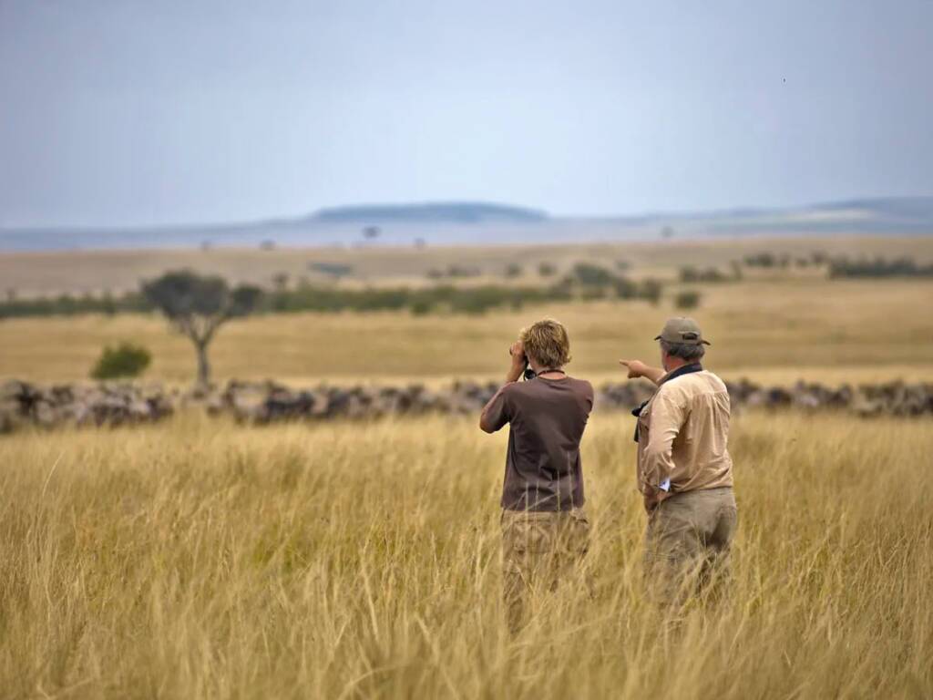 A safari guide and tourist observe wildlife during Serengeti National Park safari in Tanzania 2025/26.