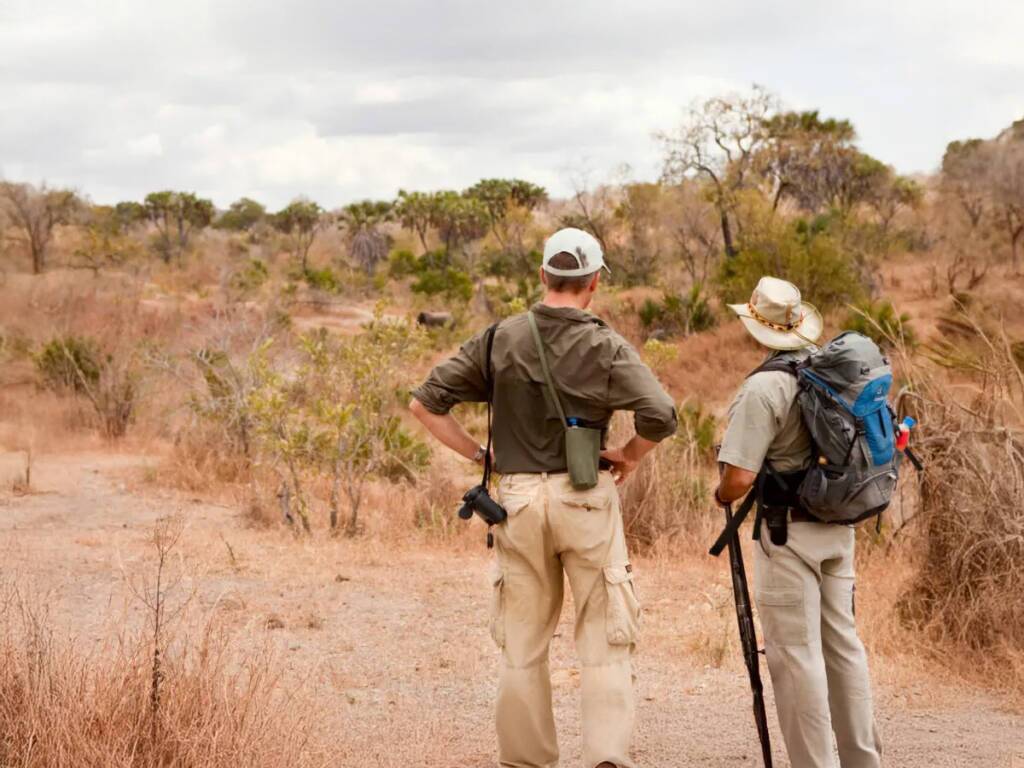 Safari traveler and a guide during a walking safari in Tanzania’s Serengeti National Park 2025 – 2026.