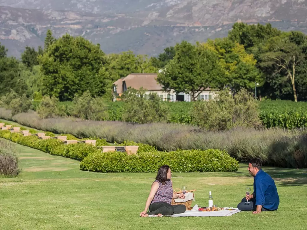 A couple enjoying a private wine picnic in the lush Cape Winelands with mountain views.