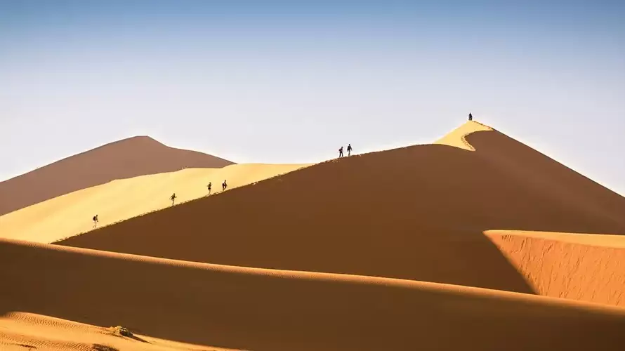 Namibia Desert Safari