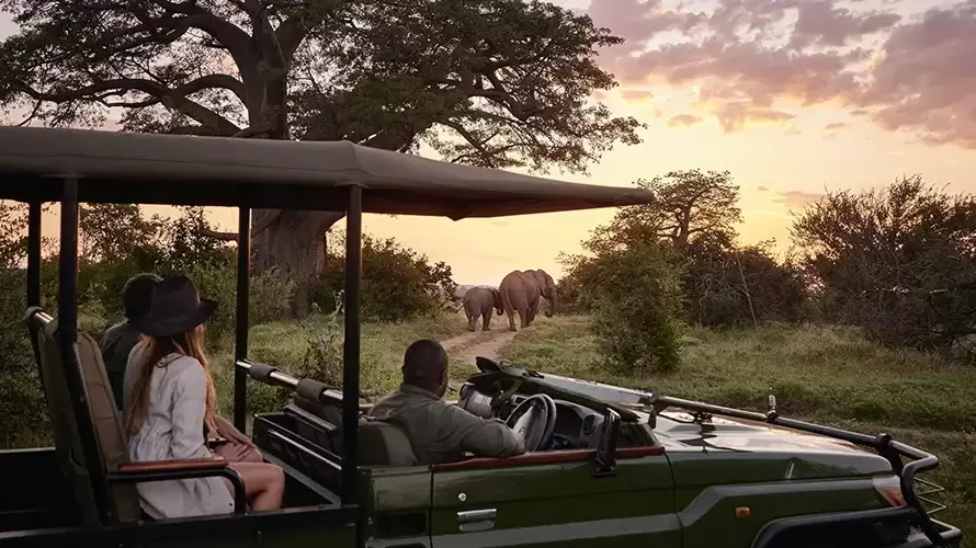 Zimbabwe Safari with Zambezi & Victoria Falls