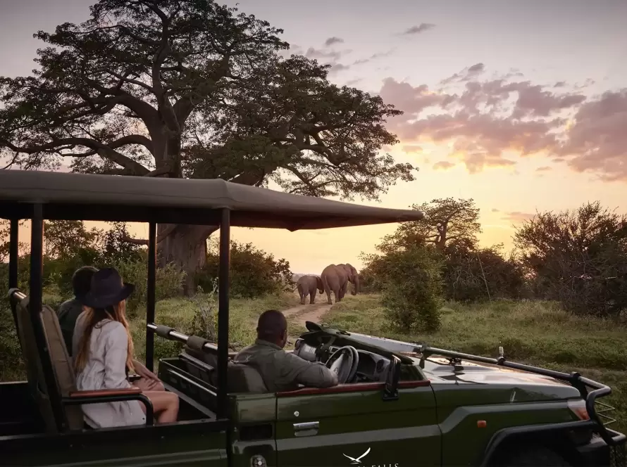 Zimbabwe Safari with Zambezi & Victoria Falls